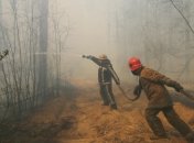 "Впереди сезон опасной жары": глава Госагентства о пожаре в зоне отчуждения (Видео)