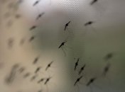 Во Львове умер бизнесмен от тяжелого вида экзотической болезни