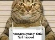 Пасха – праздник, в который женщины меряются яйцами… в соцсетях: прикольные шутки, мемы, которые поднимут настроение всем