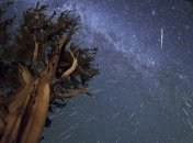 Суперлуние может помешать звездопаду?