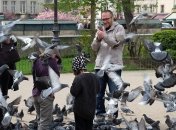 В каких местах находятся животные-попрошайки: прям как наши голуби