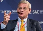 Экс-глава МИД Швеции заговорил о миссии ООН на Донбассе