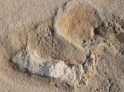 Ученые обнаружили следы доисторического человека