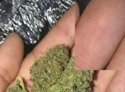 Продавец наркотиков в США "спалился", выкладывая в интернет фото товара на ладони: его нашли по отпечаткам пальцев