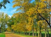 Прогноз погоды в Украине на 30 сентября: будет солнечно