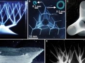 Ученые разработали метод 3D-печати живых человеческих клеток