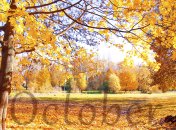 Открытки с 1 октября