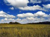 19 октября. Приметы дня