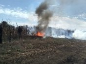 Губернатор мексиканского штата Пуэбла погибла в авиакатастрофе