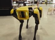 Ford "нанял" двух роботов Boston Dynamics для создания карт собственных заводов 
