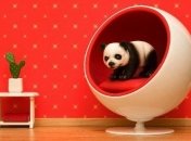 Веселое путешествие в детство: что делают игрушки, когда их никто не видит