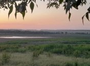 Пересохшее Волынцевское водохранилище летом 2025 года