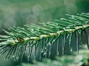 26 декабря - приметы и обряды в Евстратиев день