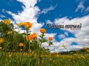 Разобрались, кого поздравляем с Днем ангела 15 июня