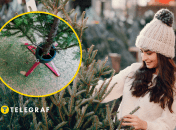 Новогодняя елка