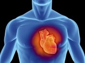 Виртуальный видеотур по бьющемуся сердцу (Видео)