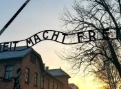 В Бельгии от коронавируса скончался один из последних узников Освенцима