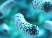 Как восстановить микрофлору кишечника?