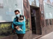 Как уберечь своего питомца во время пандемии коронавируса: советы зоозащитников