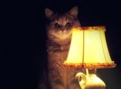 Ілюстративне зображення