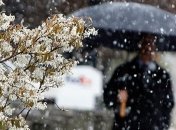 Прогноз погоды в Украине на 4 декабря: преимущественно дожди  с мокрым снегом