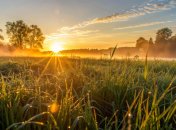 День літнього сонцестояння 21 червня 2025 року