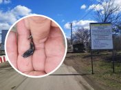 Новый обстрел на Донбассе мог стоить жизни нашему бойцу