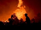 Площадь лесных пожаров в Сибири увеличилась втрое