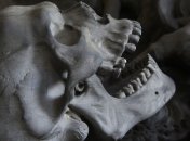 Найдены первые следы "европейских" Homo sapiens (Фото)