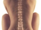 В Японии нашли способ лечения переломов позвоночника