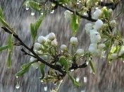 Погода в Украине 14 мая: холодно, дождь 