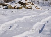 Наказаны 4 работника службы автомобильных дорог