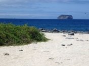 Власти Эквадора объявили чрезвычайное положение