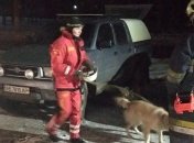 В Кривом Роге рухнула крыша в здании дворца культуры: фото и видео