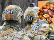 Силовики могли обогатиться на незаконной добыче янтаря