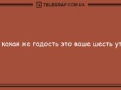 Просыпаемся только с хорошим настроением: веселые анекдоты
