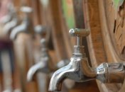 Лицензия на оптовую торговлю вином может быть отменена