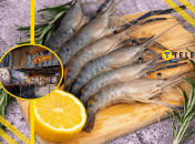 "Бегите, пока еще есть": в "Сильпо" мегаскидка на королевские креветки, сотни гривен экономии