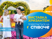 Выставка хризантем в парке Певческое переносится на 7 октября