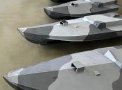 "Есть плюсы и минусы": в Раде оценили битву украинских дронов против Черноморского флота рф