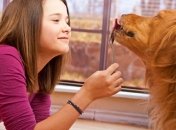 Сердца собак и их владельцев бьются синхронно