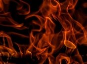 В России мать кремировала сына при жизни 