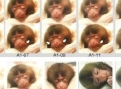 Ученые выяснили, когда появилась улыбка 