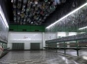 Эра каменного угля закончилась: в Германии закрыли последнюю угольную шахту