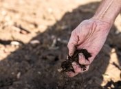 Аграрії зазнали понад 6,5 млрд грн збитків через посуху на Одещині