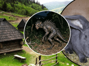 Хищник покидает тела жертв на месте