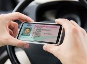 Украинцам разрешили по электронным правам регистрироваться на самолет