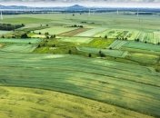 Как изменится ситуация на агрорынока в Украине после окончания карантина