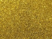 В Австралии обнаружены грибы с "золотым покрытием"