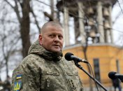 Валерий Залужный